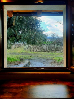 La finestra sul vigneto Castiglione Di Sicilia